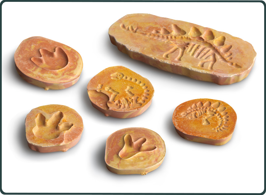 Fossils Dinosaur Tracks Magic Cement